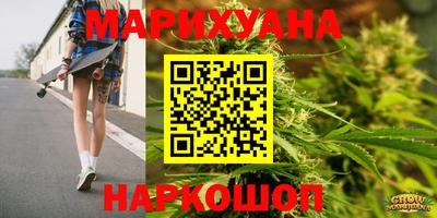 крисы Краснознаменск