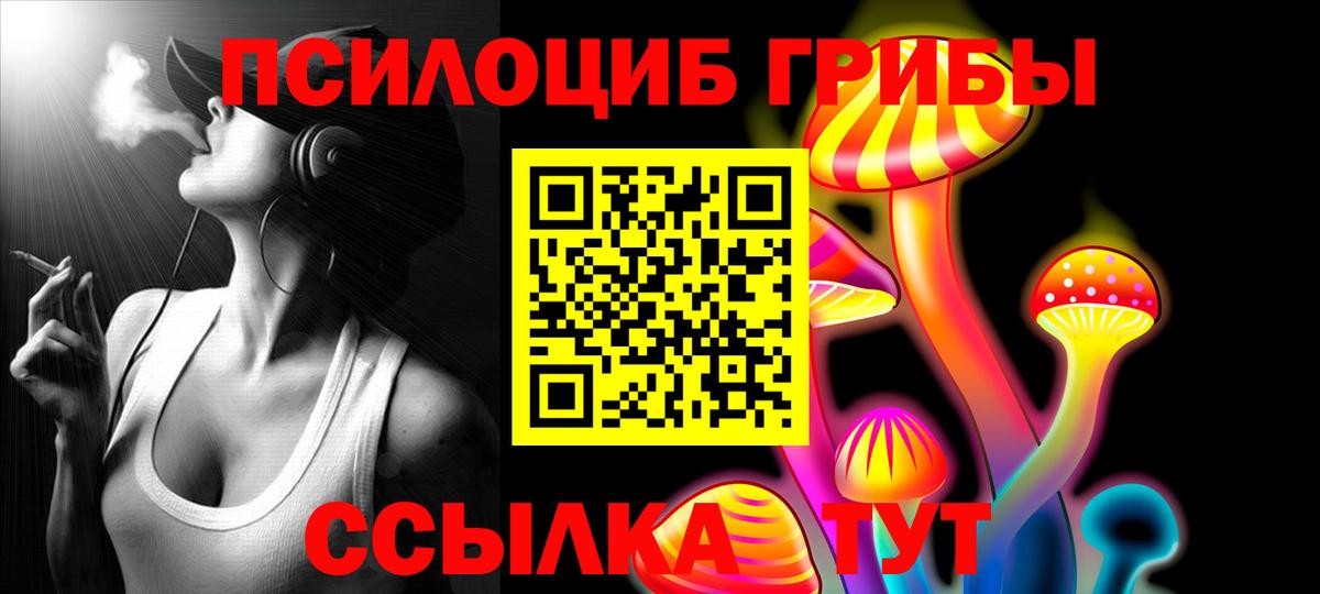 Псилоцибиновые грибы прущие грибы  Вход с VPN  Кимры 